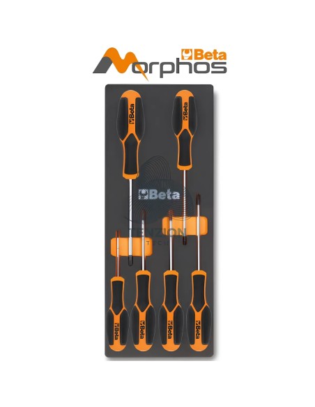 Modulo Morbido EVA 6 Utensili