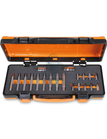 Set 18 Inserti Ribe Attacco Esagonale 10mm Con Accessori