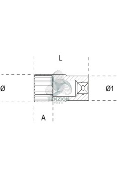 Chiave A Bussola Lunga Torx 1/2" 2