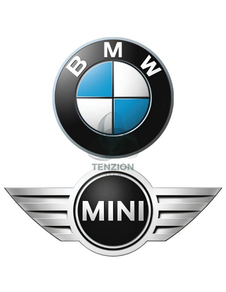 Set Per Rimozione Bulloni Antifurto BMW Mini