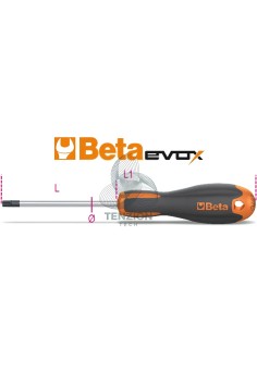 Chiave Maschio Torx Con Impugnatura