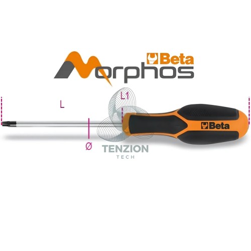 Chiave Maschio Torx Con Impugnatura