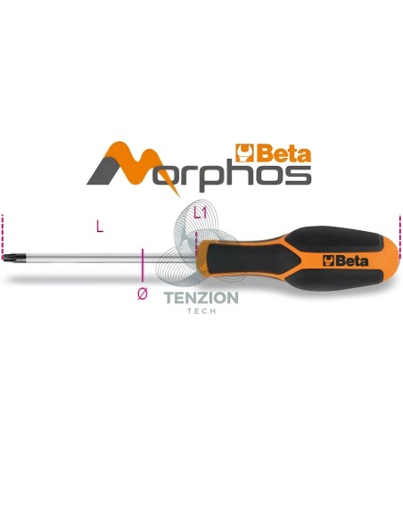 Chiave Maschio Torx Con Impugnatura