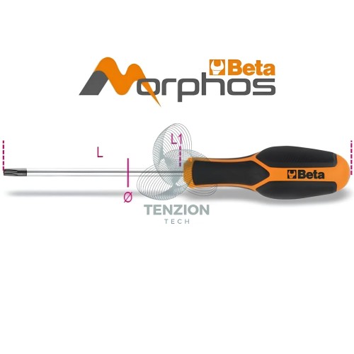 Chiave Maschio Torx Tamper Resistant Con Impugnatura