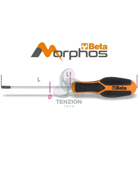 Chiave Maschio Torx Tamper Resistant Con Impugnatura