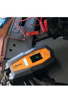 Caricabatteria Elettronico Multifunzione 12-24V 2