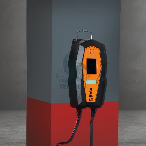 Caricabatteria Elettronico Multifunzione 12-24V