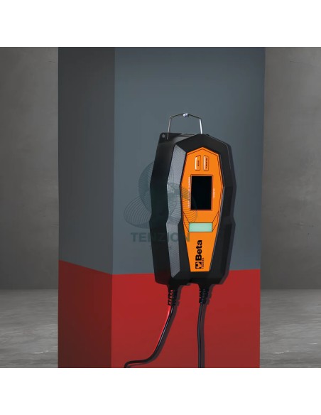 Caricabatteria Elettronico Multifunzione 12-24V
