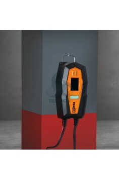 Caricabatteria Elettronico Multifunzione 12-24V 2