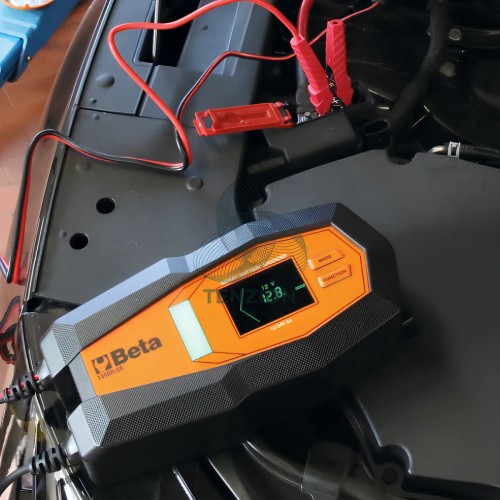 Caricabatteria Elettronico Multifunzione 12-24V