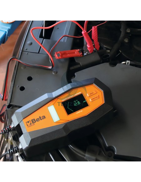 Caricabatteria Elettronico Multifunzione 12-24V